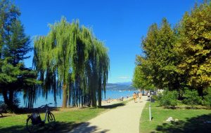 lungolago peschiera bardolino