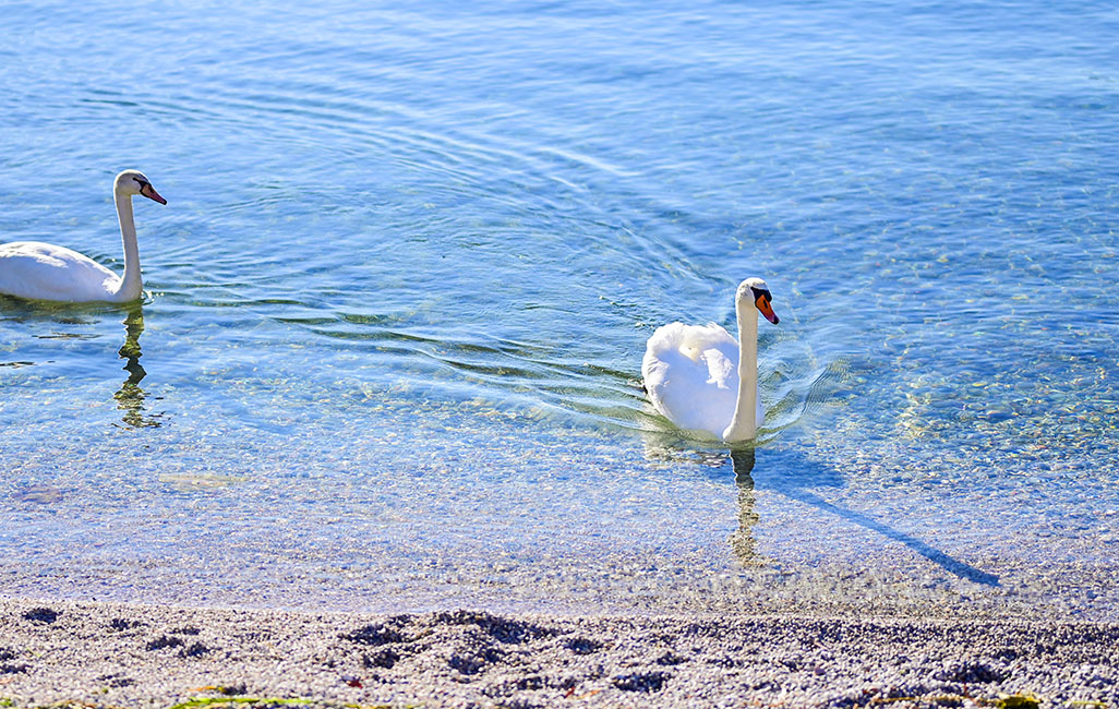 Lago di Garda autunno